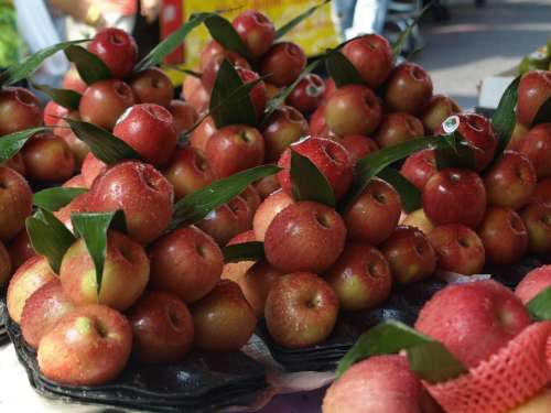 Apple Red Food Fruit Summer Healthy Vitamin