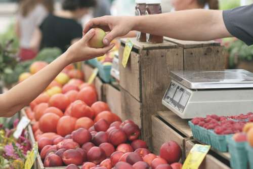 Apples Farmers Market Business Buy Deal Fruits