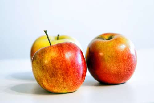 Apples Fruit Mature Apple Garden Healthy Summer