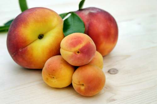 Apricots Sugar Apricots Peach Fruit Fruits Ripe