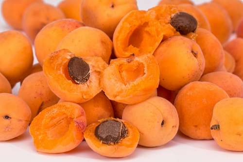 Apricots Fruit Pips Ripe Juicy Fresh Healthy