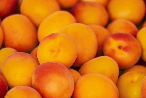 Apricots Apricot Fruit Fruits Sweet Delicious