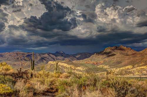 Arid Cactus Cloud Formation Dark Clouds Daylight