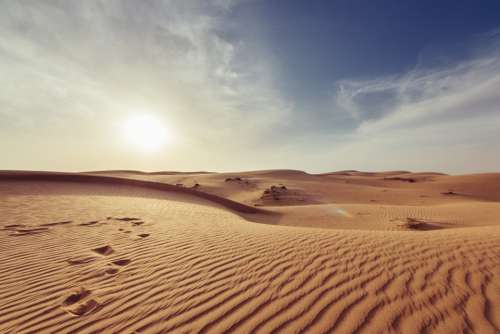 Arid Barren Dawn Desert Dry Hot Landscape Nature