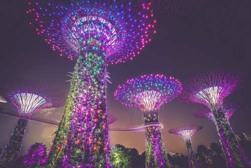 Artificial Trees Singapore Illumination Buildings