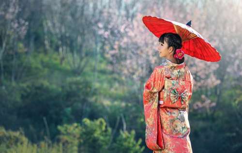 Asia Ceremony Chinese Dress Culture Geisha Japan