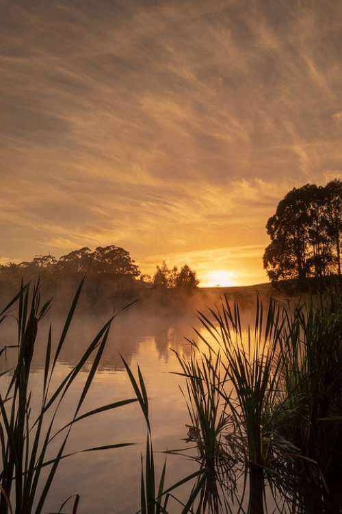 Australia Tasmania Tall Timbers Smithton Sunrise