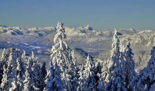 Austria Winter Snow Panorama Wintry Mountains