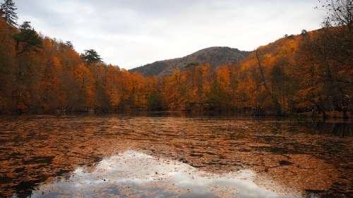 Autumn Peace Nature Landscape Lake Blue Natural