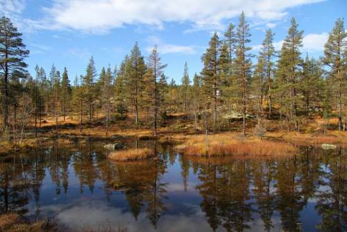 Autumn Telemark Norway Tindefjell Norway