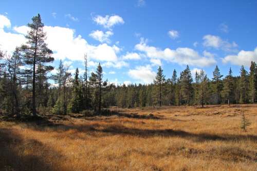 Autumn Telemark Norway Tindefjell Norway