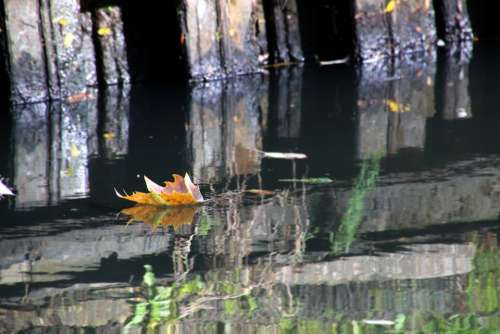 Autumn Sheet Brook Water Color