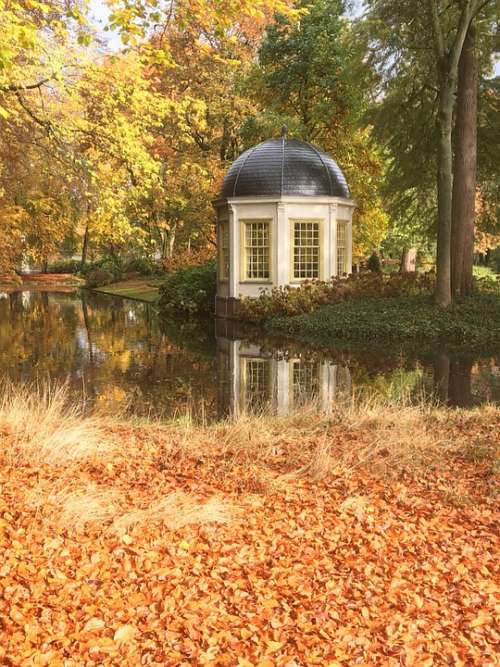 Autumn Fall Colors Colorful Nature Bright