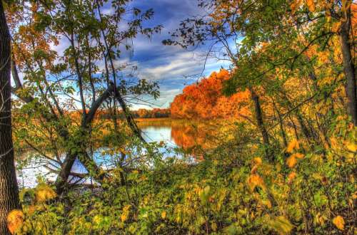 Autumn Fall Forest Colors Nature Landscape River