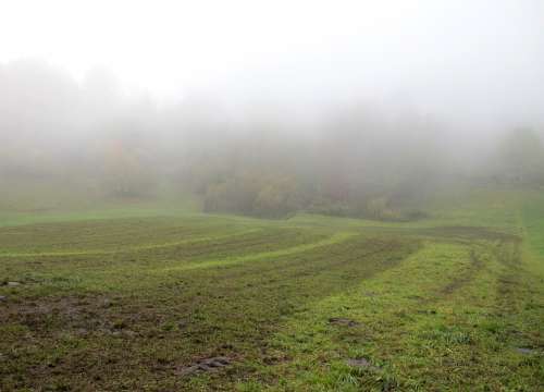 Autumn Fog Arable Nature
