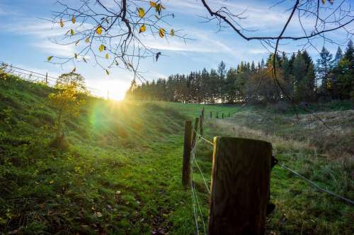 Autumn Sun Fence Forest Field Landscape Nature