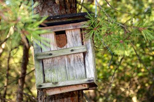 Aviary Incubator Nesting Box Nesting Place