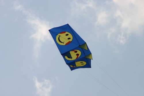 Aviator Float Kites Kite Flying