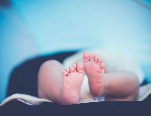 Baby Baby Feet Child Little Macro Newborn Tiny