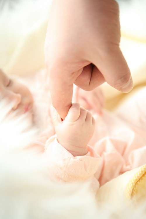 Baby Hand Dad Trust Newborn Child Offspring
