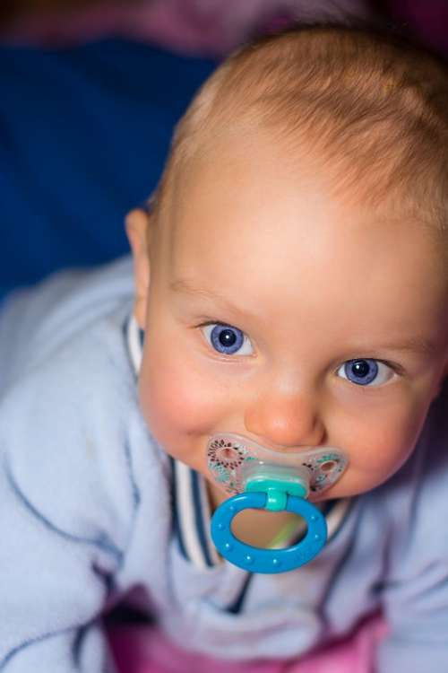 Baby Boy Small Face Child Portrait Blue Eye