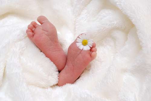 Baby Birth Child Soft Newborn Born Feet Infant