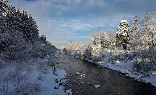 Bach Winter Snow Water River Waters Nature Creek