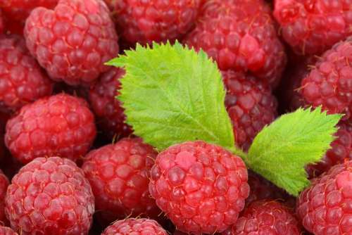 Background Raspberry Berry Detail Food Fresh