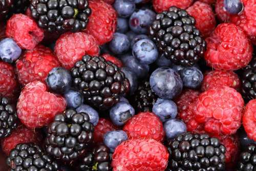Background Berries Berry Blackberries Blackberry
