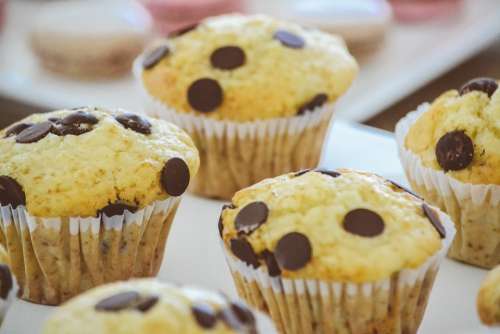 Bakery Cupcakes Muffin Baking Breakfast Cake