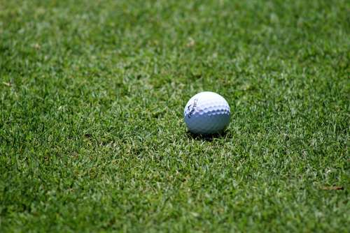 Ball Fairway Golf Golf Ball Grass Sports