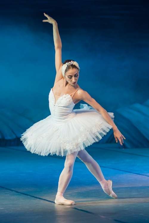Ballerina Swan Lake Performance Dancer Ballet
