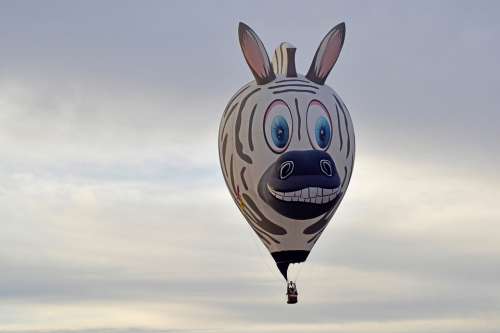 Balloon Animal Cartoon Cute Happy Entertainment