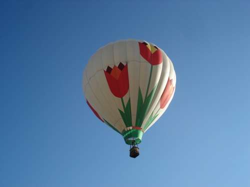 Balloon Sky Tulips