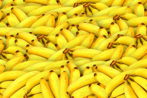 Bananas Fruit Yellow Healthy Fresh Fruit Tropical