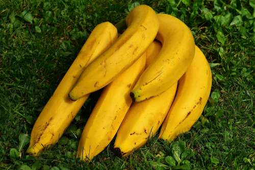 Bananas Fruits Fruit Healthy Yellow Ripe Nature