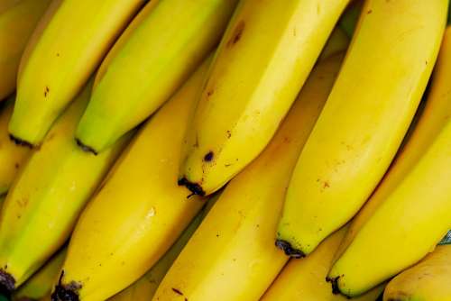 Bananas Tropical Fruits Fruit Exotic Healthy