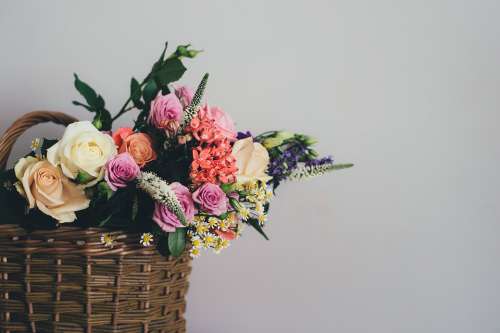 Basket Bloom Blossom Bouquet Decoration Flora