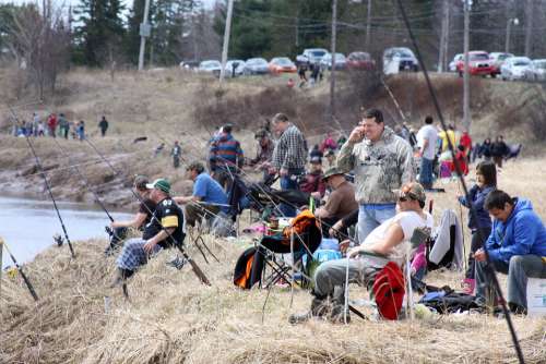 Bass Derby Fishing Competition River Bank