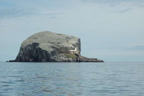 Bass Rock Island Lighthouse Water Sea Rock