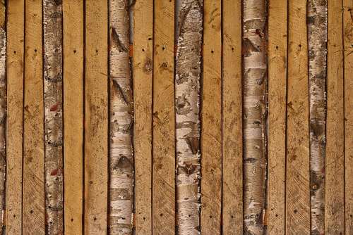 Battens Boards Birch Weathered Branches Wood