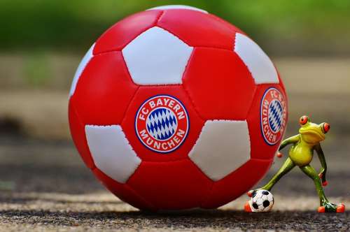 Bayern Munich Frog Football Club Bavaria Football