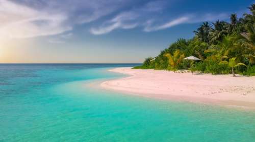 Beach Paradise Island Palm Trees Ocean Romantic