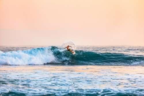 Beach Man Ocean Person Sea Sport Surfer Surfing