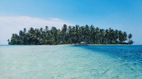 Beach Island Palm Trees Nature Ocean Paradise Sea