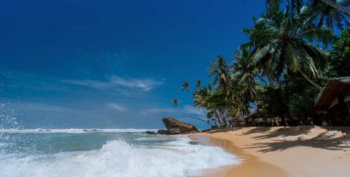 Beach Coconut Trees Idyllic Island Ocean