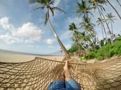 Beach Hammock Blue Sky Clouds Coconut Trees Exotic