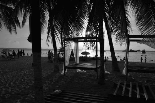 Beach Sunset Black And White Palms Mexico