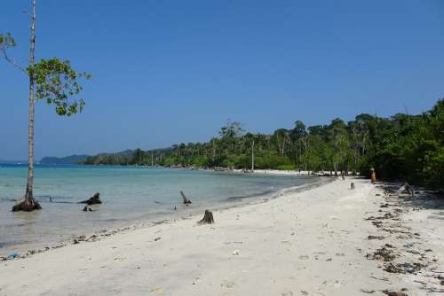 Beach Sea Elephant Beach Havelock Islands Andamans