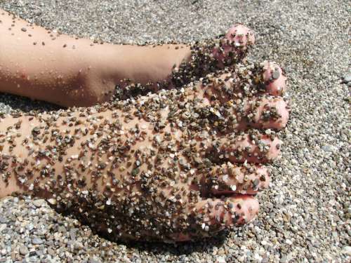 Beach Ten Foot Barefoot Summer Vacations Pebbles